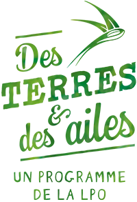 Des Terres et des Ailes