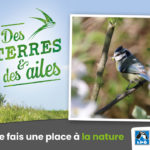 Panneau de reconnaissance "Arboriculture". Mésange bleue dans un arbre fruitier, avec une chenille dans son bec