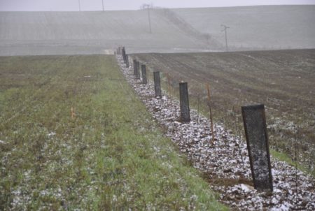 Plantation d'arbres et arbustes en inter-cultures (décembre 2018)