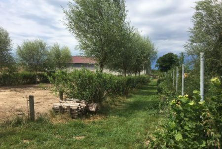 Ferme du Vieux Poirier