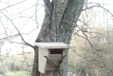 Création d'un nichoir pour Troglodyte mignon © Fabrice et Pascale Brianchon