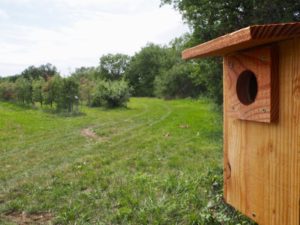 Nichoir à Huppe fasciée en bordure du verger de poires © LPO Drôme
