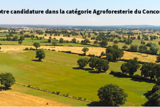 CGA Agroforesterie © Patrick Cochard