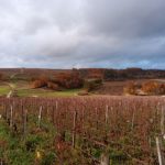 Domaine viticole visité © LPO Yonne