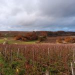 Domaine viticole visité © LPO Yonne