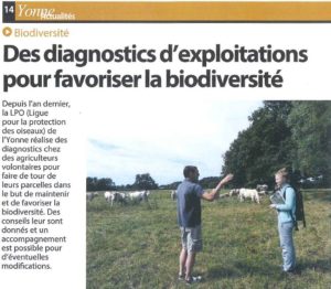 Journal Terres de Bourgogne - 26 juillet 2019