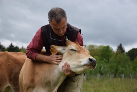 Philippe, éleveur de Jersiaises © La Marsottière