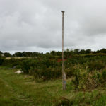 Poteau perchoir installé sur les parcelles - photo : C.Lechartier