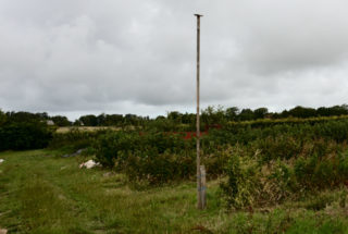 Poteau perchoir installé sur les parcelles - photo : C.Lechartier