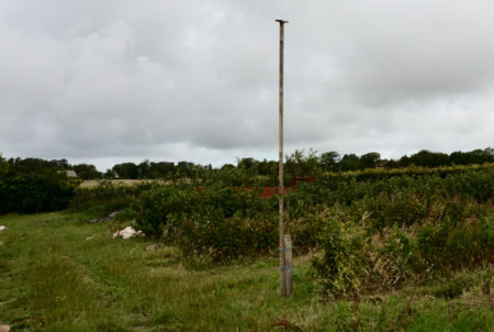 Poteau perchoir installé sur les parcelles - photo : C.Lechartier