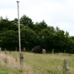 Poteau perchoir installé sur les parcelles - photo : C.Lechartier