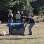 Jeune blairelle relâchée chez des éleveurs participant au programme Des Terres et des Ailes @ Victor Bechereau - LPO Hérault