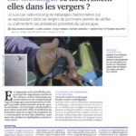 Résumé de l'article paru dans la revue Phytoma