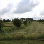 Développement d'une haie avec ses arbres et ronciers pour délimiter les parcelles © R.Liozon LPO Aveyron