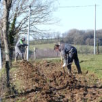 Creusement des trous pour y déposer les plants © M.Trille