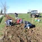 Pendant que certains préparent les trous, d'autres mettent en place les plants © M.Trille