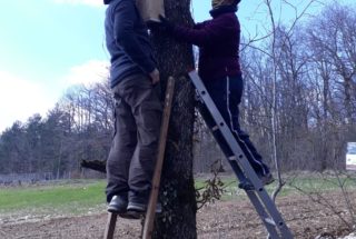 Installation d'un nichoir à mésanges © Domaine Dominique Gruhier