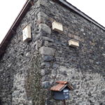 Installation de nichoirs sur la façade d'un bâtiment agricole © GAEC d'ARTIAS