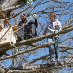 Pose d'un nichoir dans un arbre © GAEC d'ARTIAS