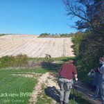 Observation des oiseaux sur les parcelles © LPO Yonne