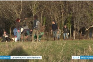 Organisation de chantiers de plantations avec des bénévoles pour aider les paysans à planter des haies - LPO Aveyron - Reportage France 3 Midi-Pyrénées