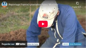 Chantier de bénévoles LPO de plantation de haies en Aveyron chez des paysans boulangers - Reportage France 3 Aveyron